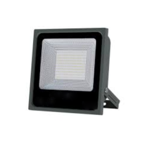 ESNCO FLOOD LIGHT 100W