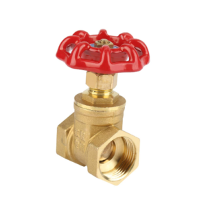 GATE VALVE 3/4
